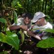 Cliffson and Mark during hand collecting in forests along Fly river