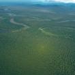 Lowland forests along Sepik river