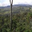 Chimbu