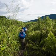 Expedition to Kaiangabip (Western Prov.)