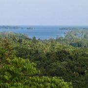 Plantations and secondary forest, Madang