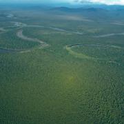 Lowland forests along Sepik river