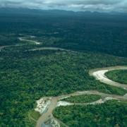 Upper Sepik area