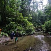 Upper Fly river
