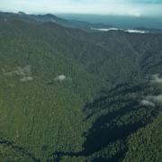 Forests around Yapsiei