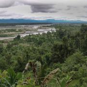 Upper Sepik river heading to Indonesia