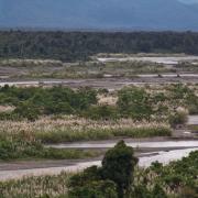 Upper Sepik river at Indonesian border