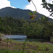August river by the village