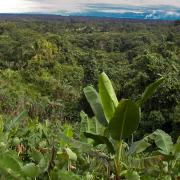 View towards Madang