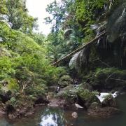 A tributary of Hegigio river