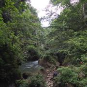 A tributary of Hegigio river