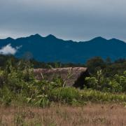 Mt. Bosawi
