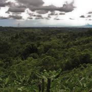 View towards Madang