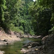 Gum river