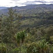 Intensively cultivated area in Chimbu