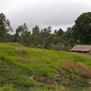 Field station