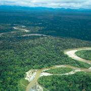 Forests around Utai village