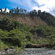 Landslide nearby the village