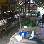 Insect rearing